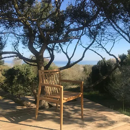 Sunsets In A Delightful 70s House Hébergement de vacances